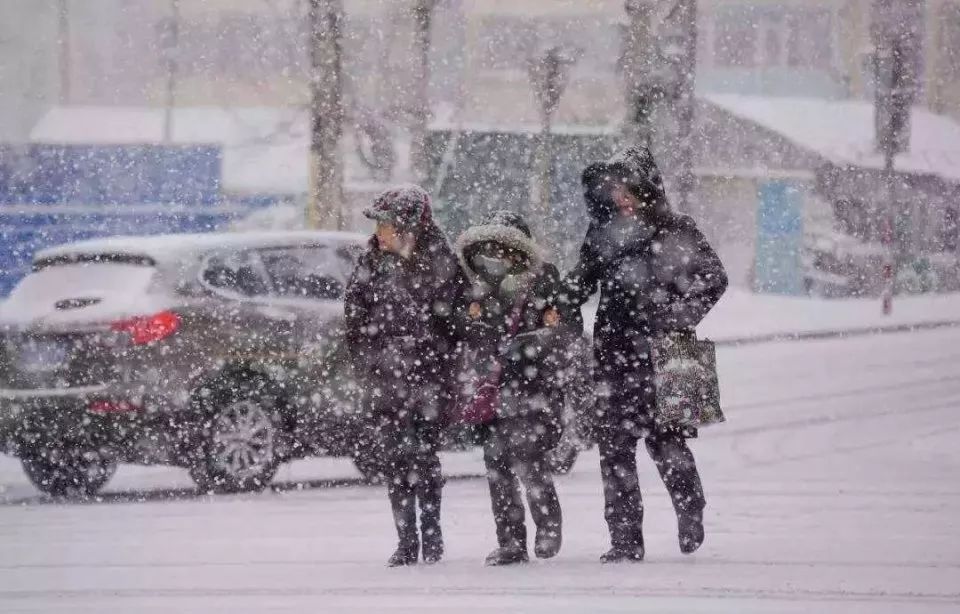 我市各部门积极应对2023年首场降雪