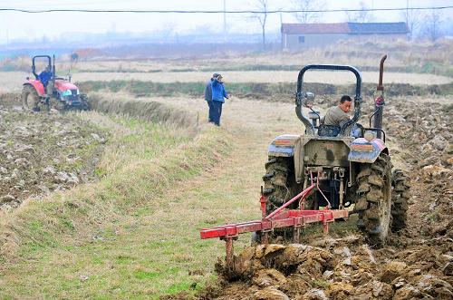 抓实春耕备耕工作 加快农业产业链建设