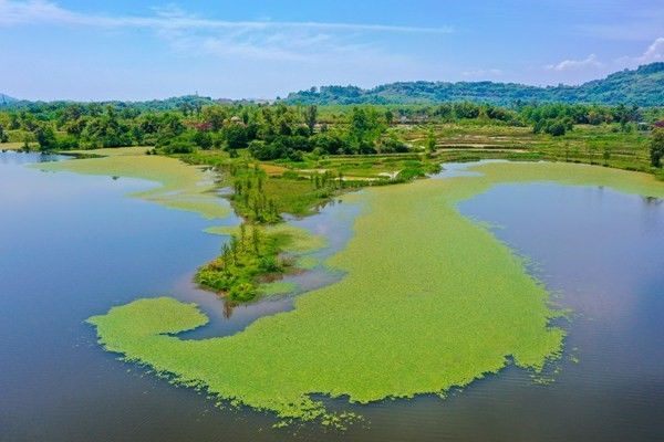 擦亮生态底色 共建幸福河湖——黄石强化河湖长制精心做好“水文章”