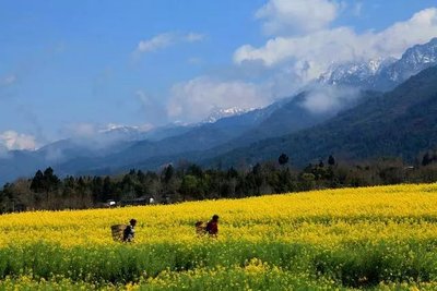 心系乡村促发展，共商大计绘蓝图