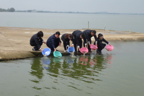 大冶湖“夏花”鱼苗增殖放流顺利完成