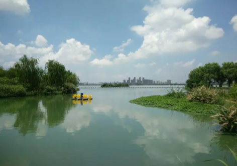 磁湖湿地：昔日臭水港 今朝生态园